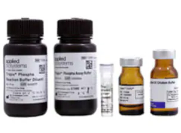 Gene Reporter Systems