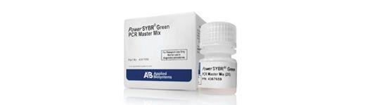 Applied Biosystems™ Fast SYBR™ Green Master Mix