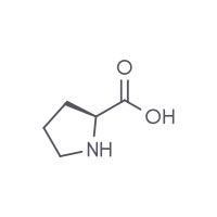 Proline