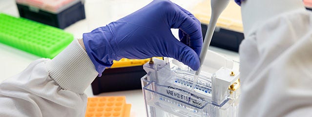 Western Blot and Dot Blot