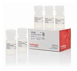 Contec™ NeutraKlean™ Detergent with Purified Water, Sterile