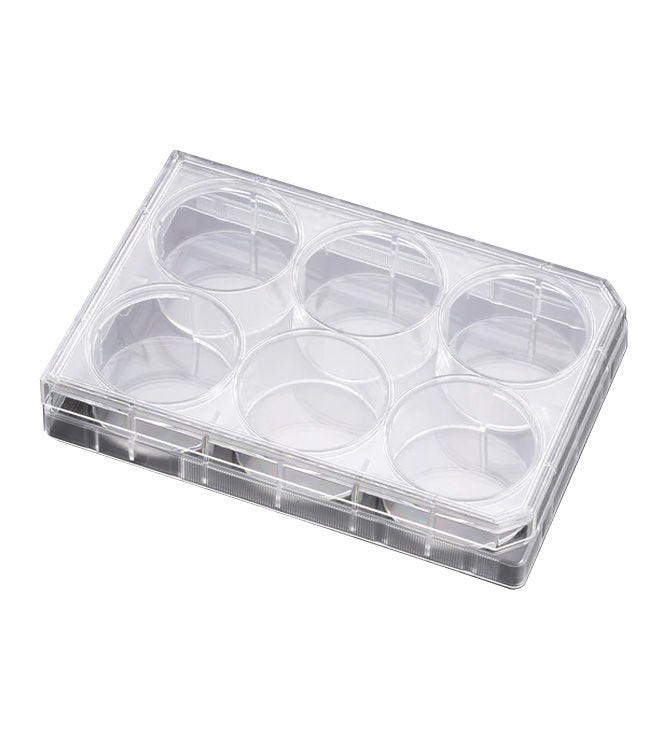 Cell Culture Dishes
