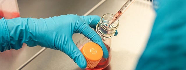Biochemical and Cell-Based Assays