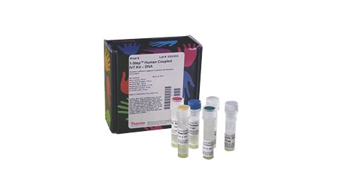 In vitro Protein Expression Systems