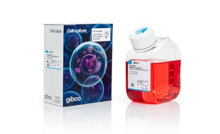 Production Chemicals and services