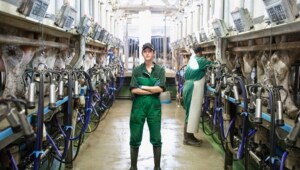 Application Header - Food