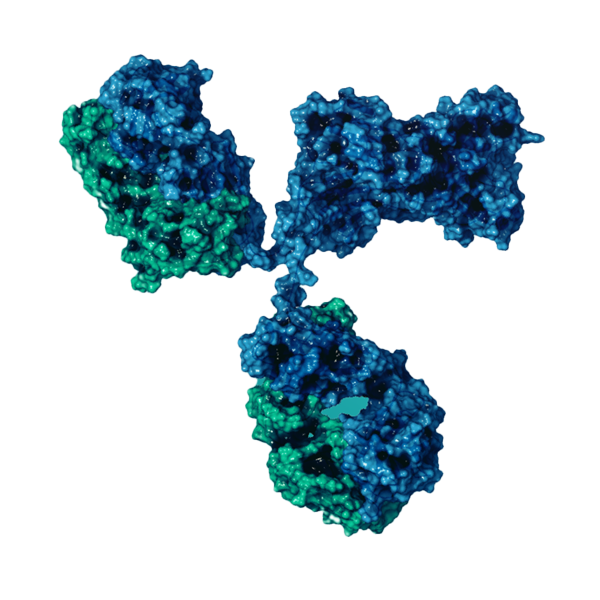 KingFisher PlasmidPro Maxi Processor