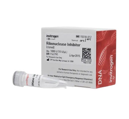 25364_Merch_P2_Product2