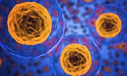 Cell Viability