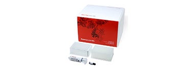 25629_Brand_C2_P3_Product5