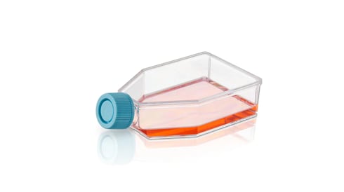 Bioreactors