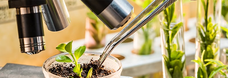 Crop Science Solutions