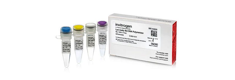 Invitrogen™ Lyo-ready Bst DNA Polymerase