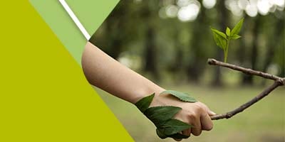 25766_Flexible_P8_Image