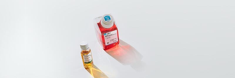 Cell Culture Media, Sera, and Reagents