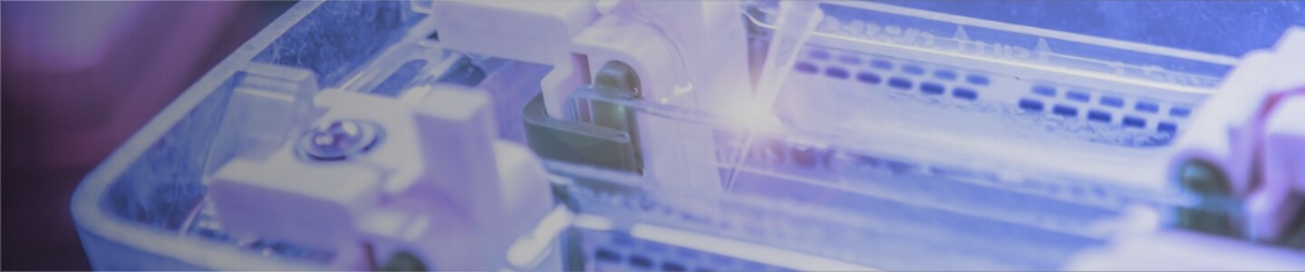 MP Biomedicals Western Blotting Products