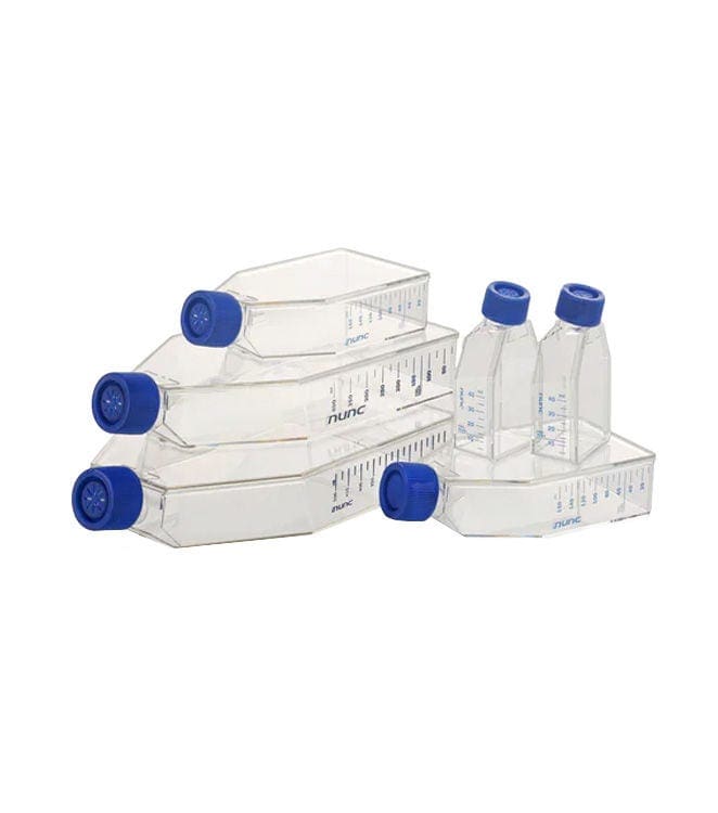 Cell Culture Flasks
