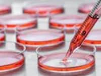 22688 - Partnerships-image4