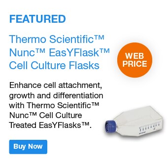 Thermo Scientific™ Nunc™ EasYFlask™ Cell Culture Flasks