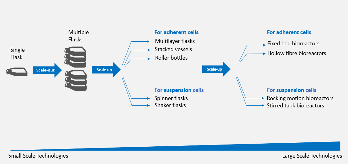 Systems for Scaling Up Both Adherent and Suspension Cell Cultures