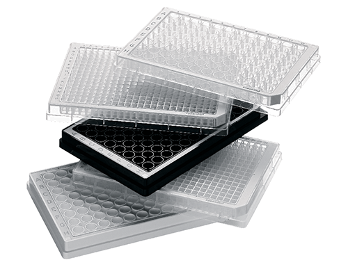 Eppendorf Tubes Biobased