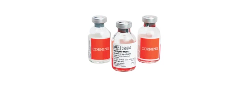 Corning Matribot Bioprinter: An Easy-to-Use Tool for 3D Cell Culture