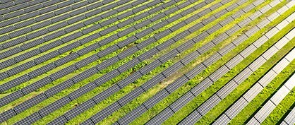 Dual Use of Land: Solar Panels and Agriculture