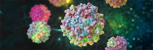 Why Should You Consider SEC to Analyze AAV Aggregates?