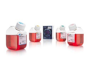 Gibco&trade; BenchStable&trade; Cell Culture Media