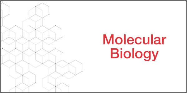13834_MolecularBiology_EN