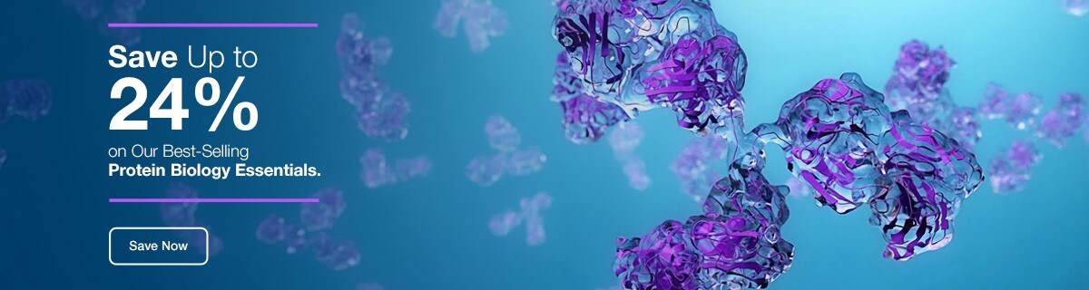 24079_promo_page__banner_EN_2 24079_promo_page__banner_EN_2