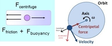 the_centrifuge_forces Two forces counteract the centrifugal force acting on the suspended particles