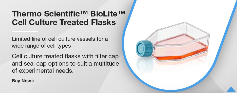 Thermo Scientific™ BioLite™ Cell Culture Treated Flasks
