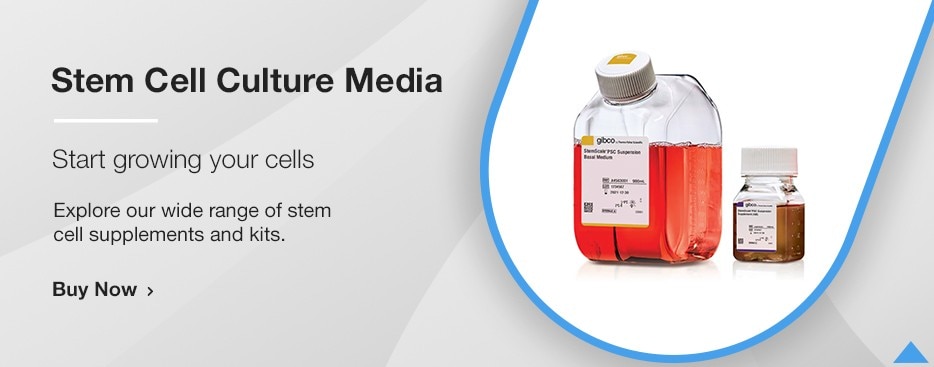 Stem Cell Culture Media Stem Cell Culture Media
