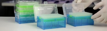 Fisherbrand SureOne™ Pipet Tips