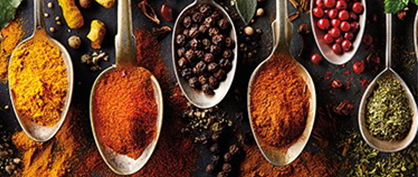 Scientists Discover Olfactory Receptors on the Tongue Scientists Discover Olfactory Receptors on the Tongue